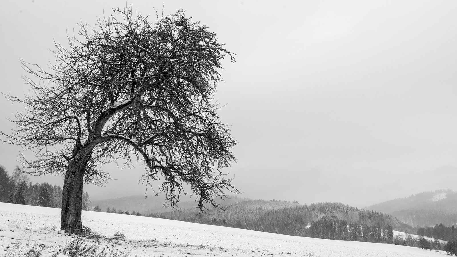 Verbogen (Foto: Uli Pfeufer)