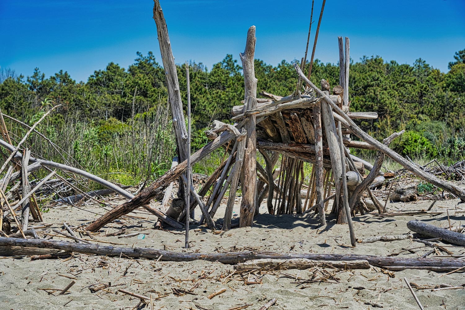 Serie: Strandgut 1 (Foto: Roland Kastner)