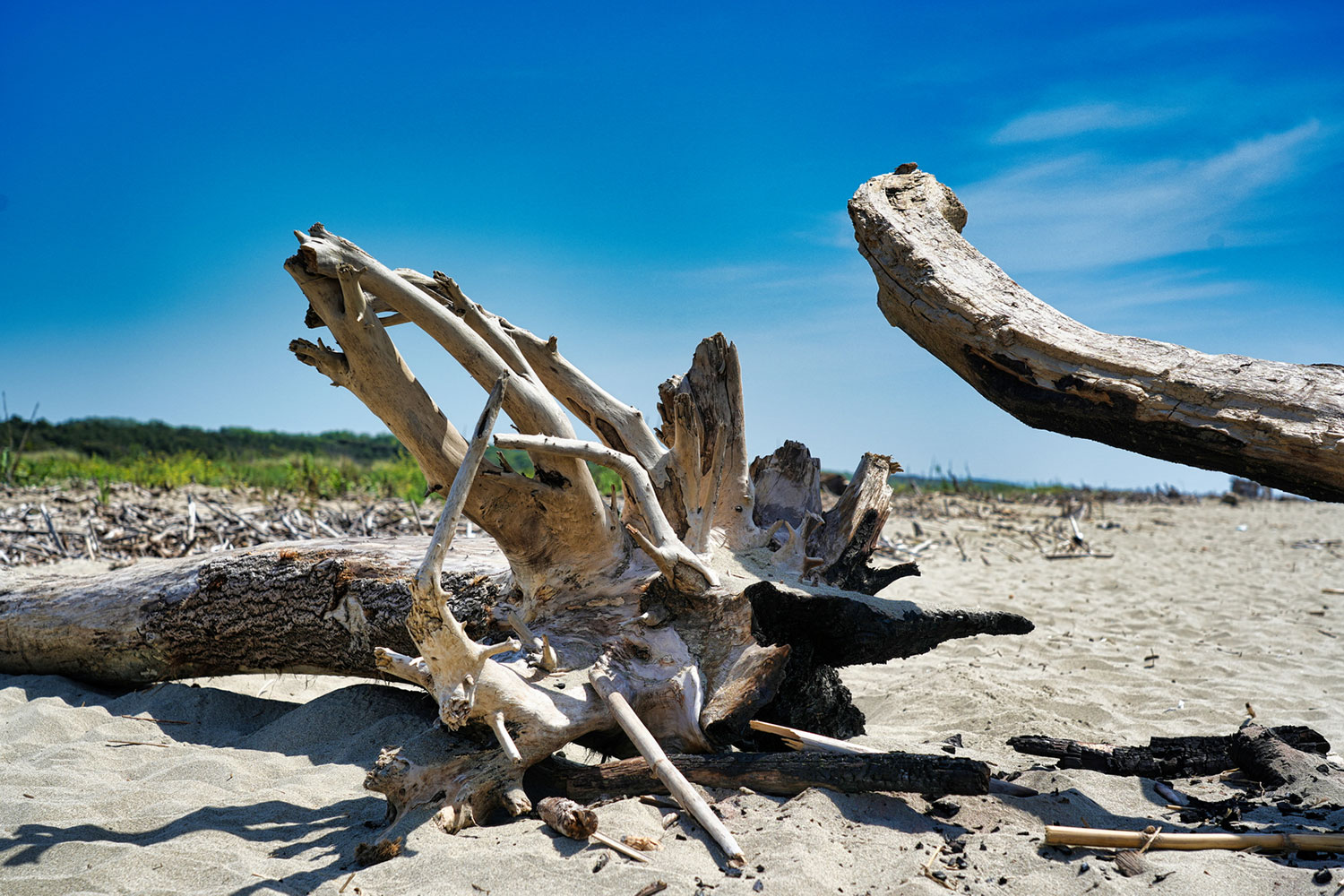 Fotoclub: Bild des Monats 3.2018
