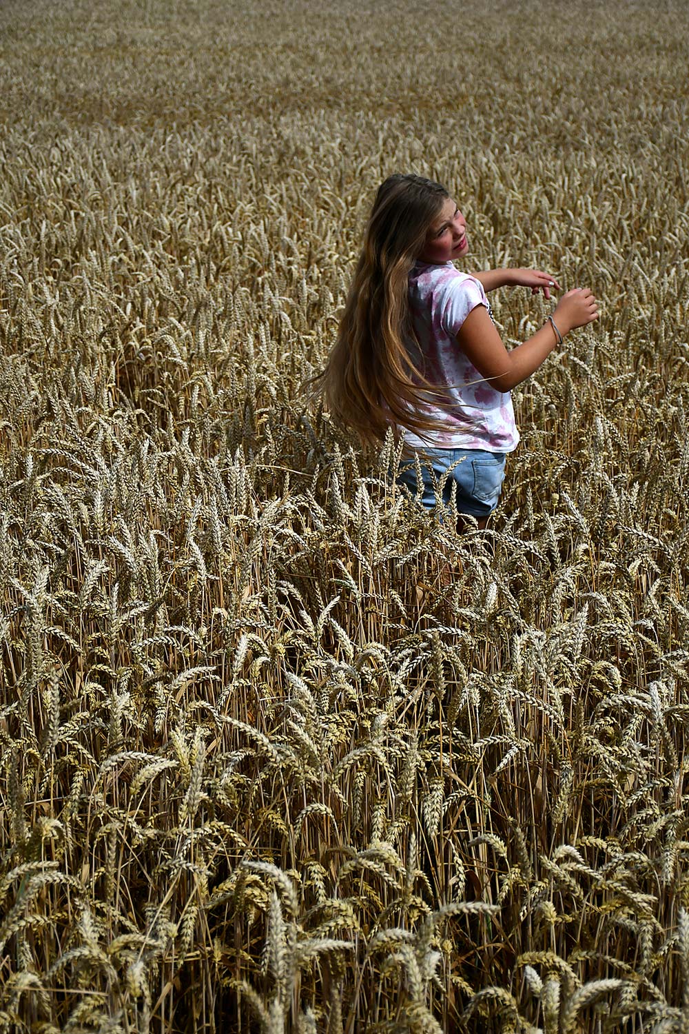 Serie: Im Kornfeld 1 (Foto: Günter Giese)