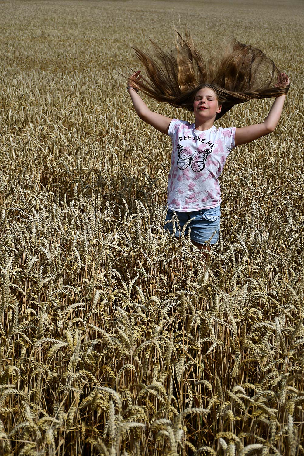 Serie: Im Kornfeld 3 (Foto: Günter Giese)