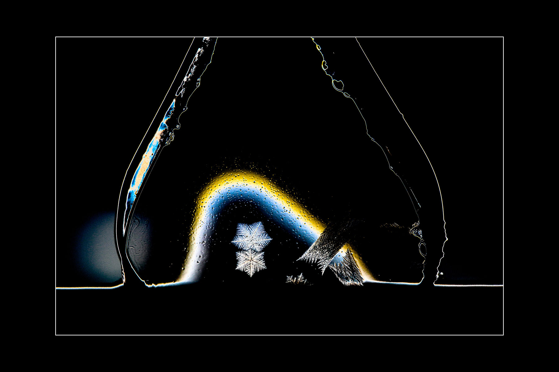 Fotoclub: Mappenthema: Spiel