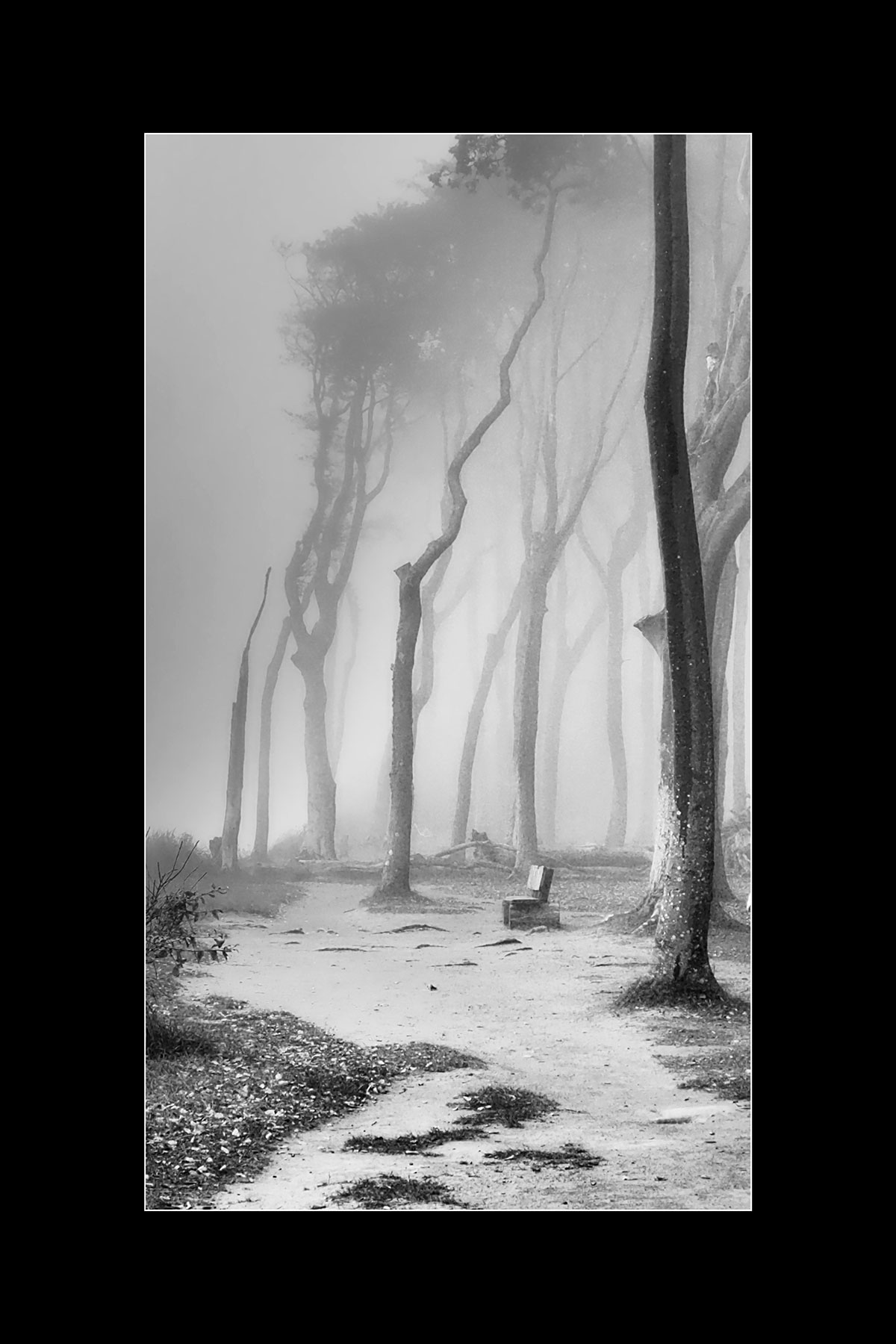 26. Mappenwettbewerb Thüringer Fotoclubs 2021/22