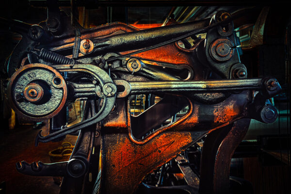 Arbeitstier (Foto: Jens Gutberlet)