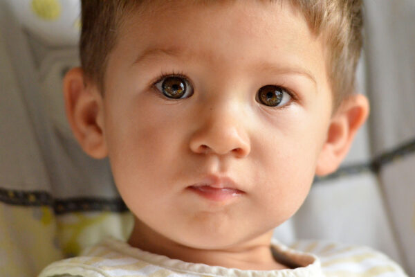 Auge in Auge (Foto: Günter Giese)