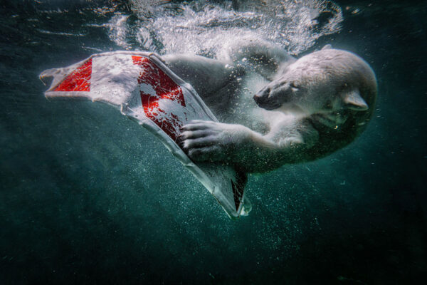Der mit der Bake tanzt (Foto: Jens Gutberlet)