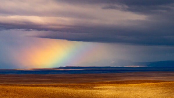 Feuerland (Foto: Uli Pfeufer)