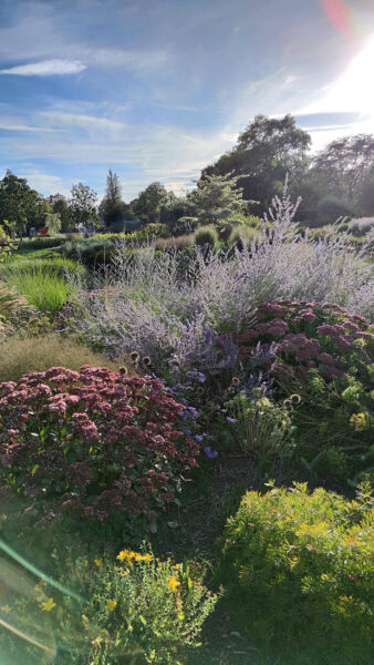 Gegenlicht (Foto: Peter Maximilian Schmidt)