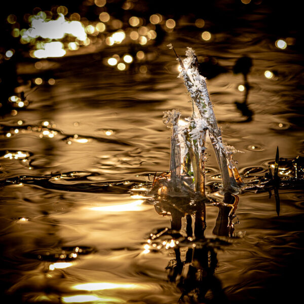 Im Winterlicht (Foto: Uli Pfeufer)