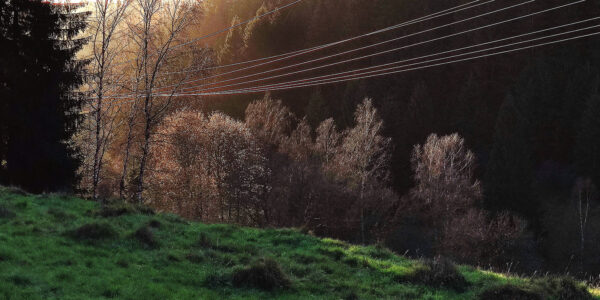 Sonnenstrom (Foto: Peter Maximilian Schmidt)