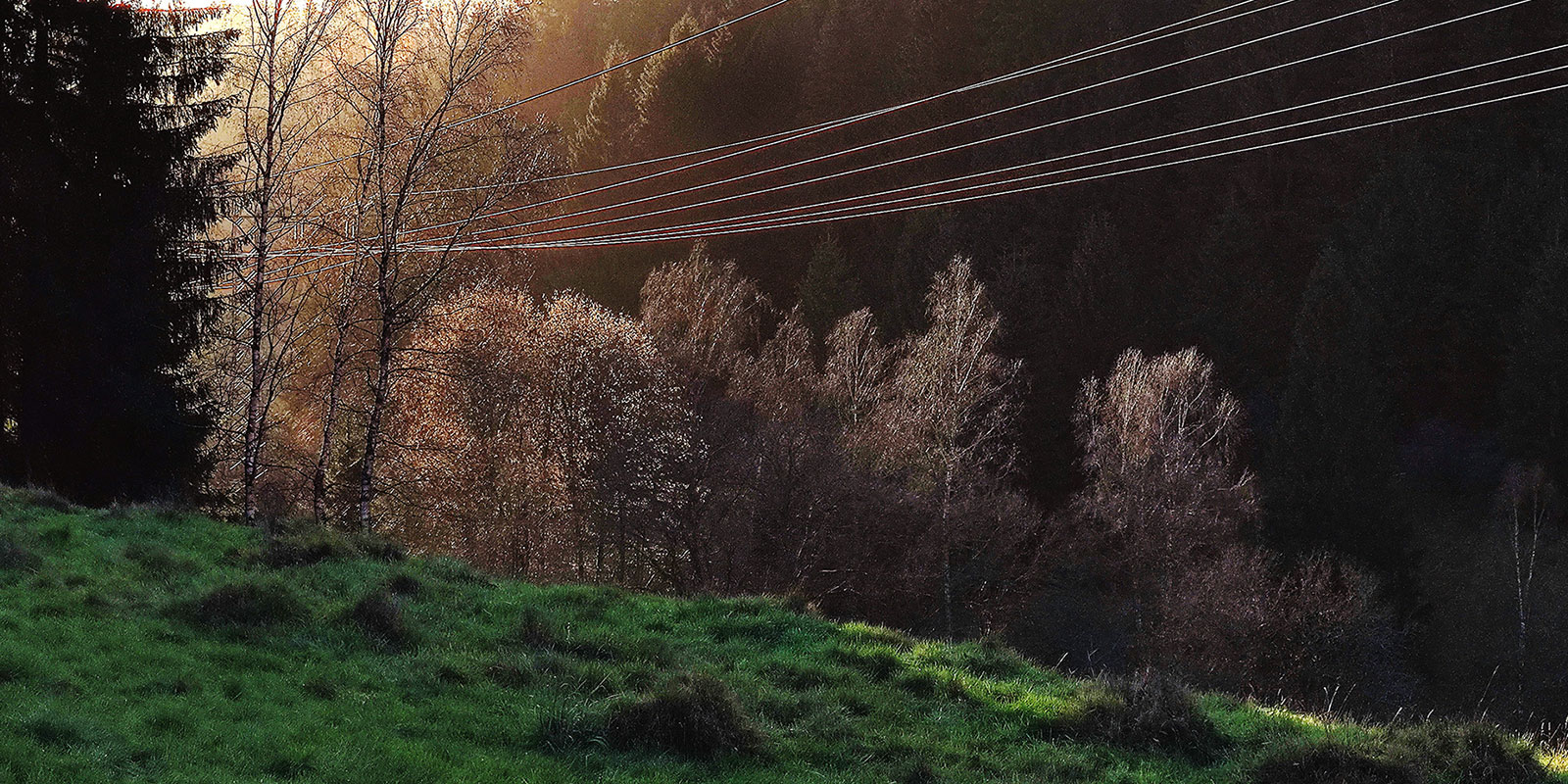Fotoclub: Bild des Monats 06.2022