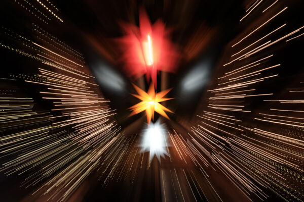 Sternschuppen (Foto: Michael Stürtz)