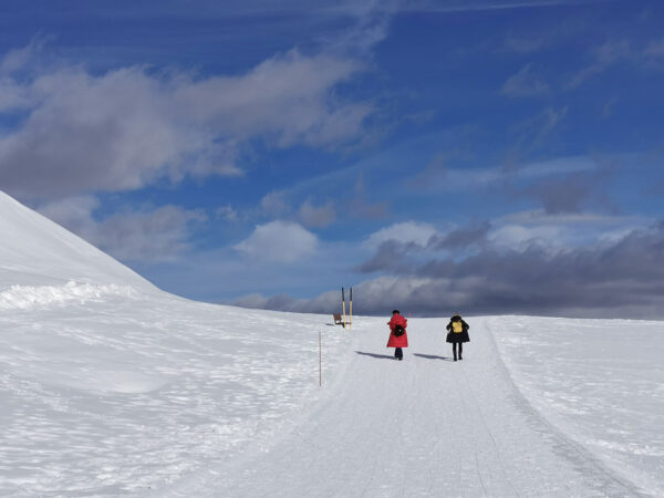 Weg im Weiß (Foto: Ines Koch)