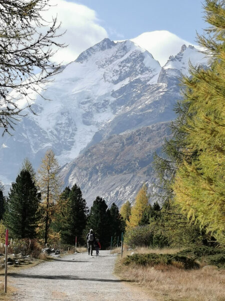 Zum Berg (Foto: Ines Koch)