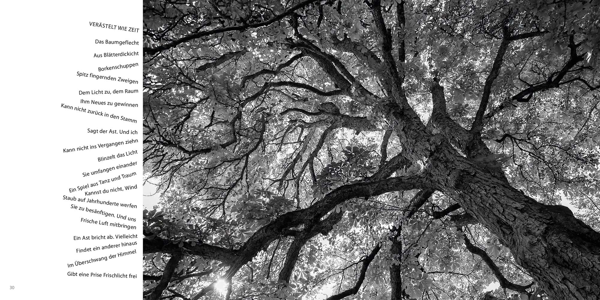 2023-buch-licht-klang-giese-uske-in-30-31 Buch: LichtKlang . Günter Giese Fotografie, Holger Uske Gedichte: Verästelt wie Zeit (Edition Sinnbild, Gestaltung: Designakut 2023)