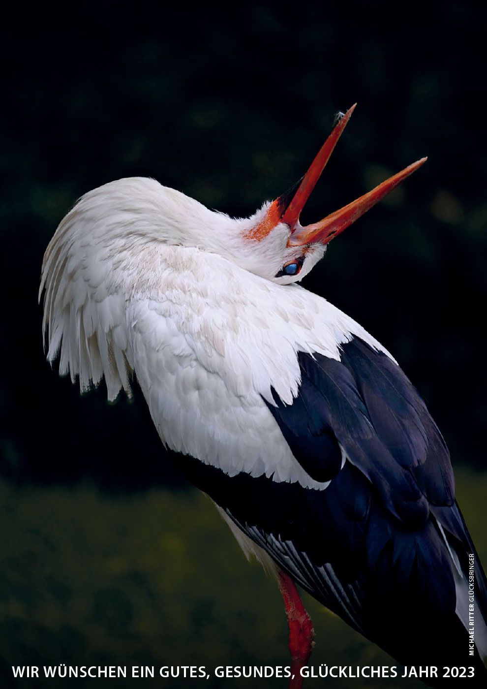 2023-fotoclub-kontrast-suhl-kalender-13 Kalender Fotoclub Kontrast Suhl 2023: Rückseite: Glücksbringer (Foto: Michael Ritter)