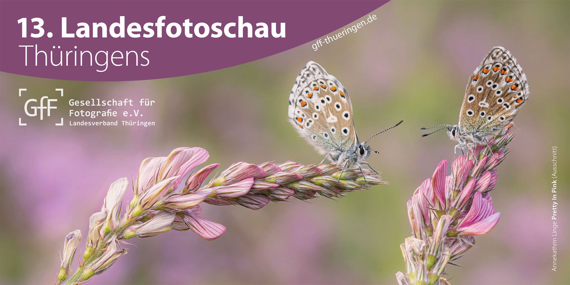 Fotoausstellung "Entdeckungen" Fotoclub Reflexion 90 Erfurt