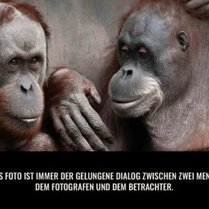 <b>23.11.2023</b> Fotoclub: Bewertung 14. Fotorallye Sonneberg 2023