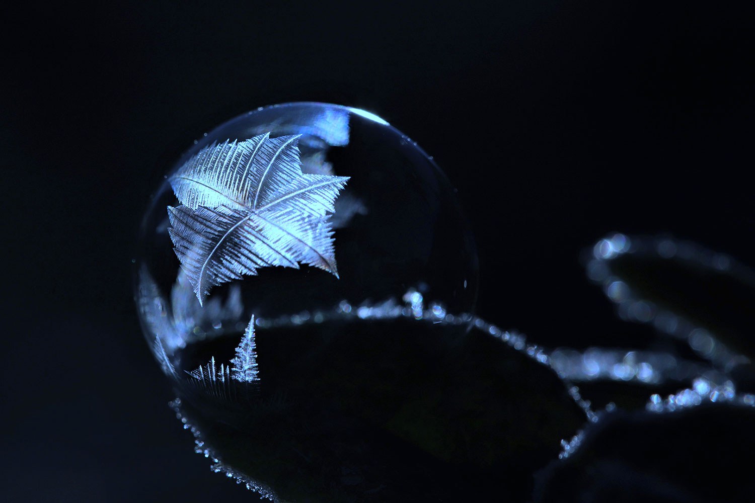 Fotoclub: Bild des Monats 2.2023