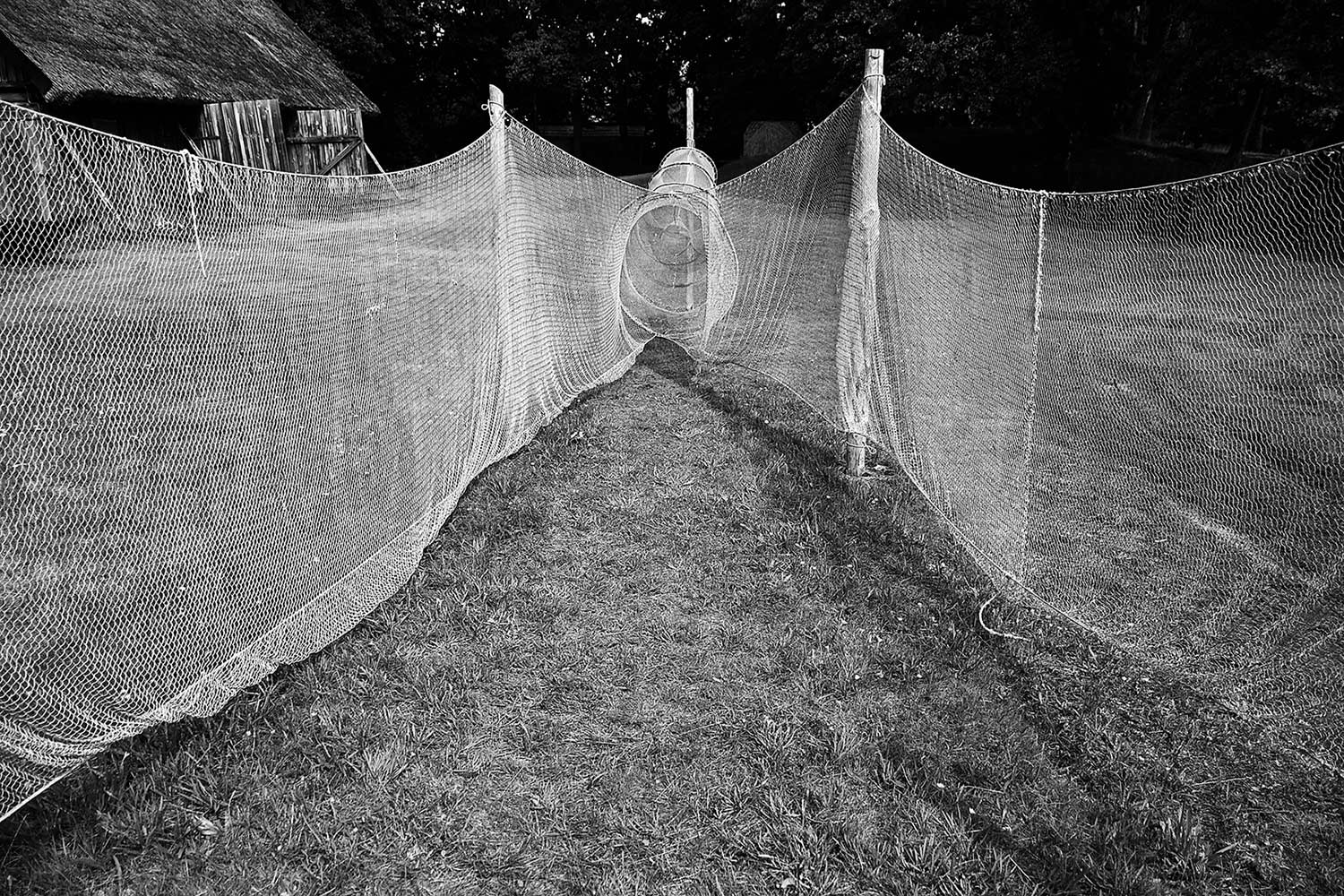 2024-01-zz05_2-Netzfischerei-gg-6.33 Serie: Netzfischerei 2 (Foto: Günter Giese)