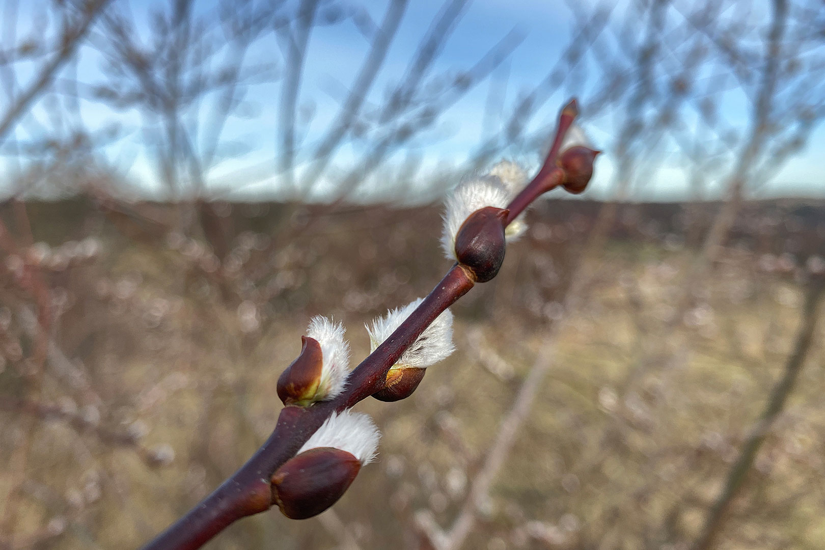 Aufbruch (Foto: Andreas Kuhrt)