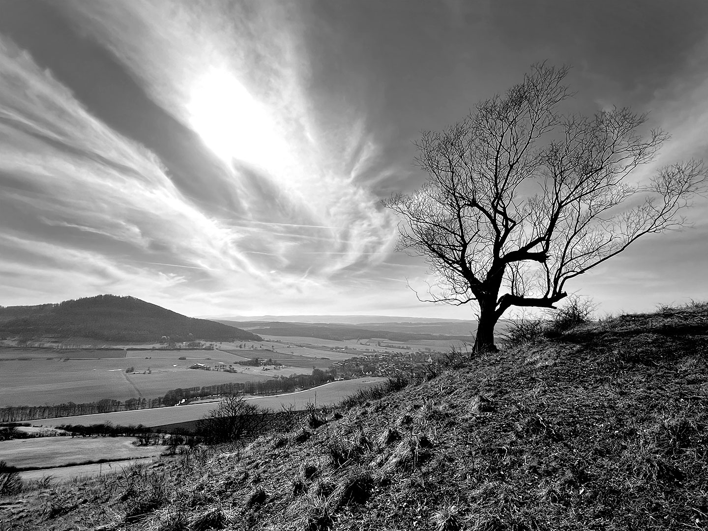 Rhönblick (Foto: Manuela Hahnebach)