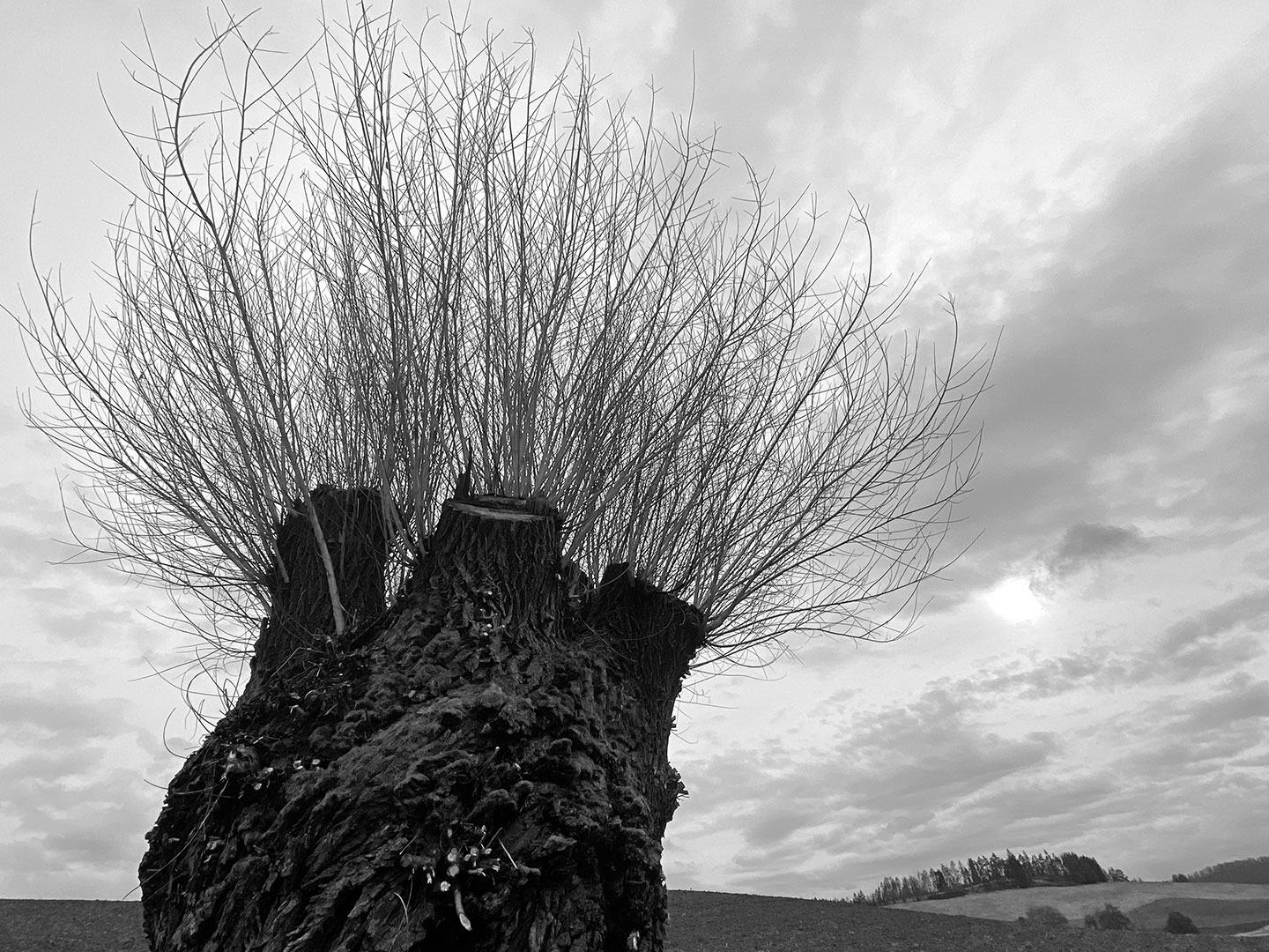 26. Mappenwettbewerb Thüringer Fotoclubs 2021/22