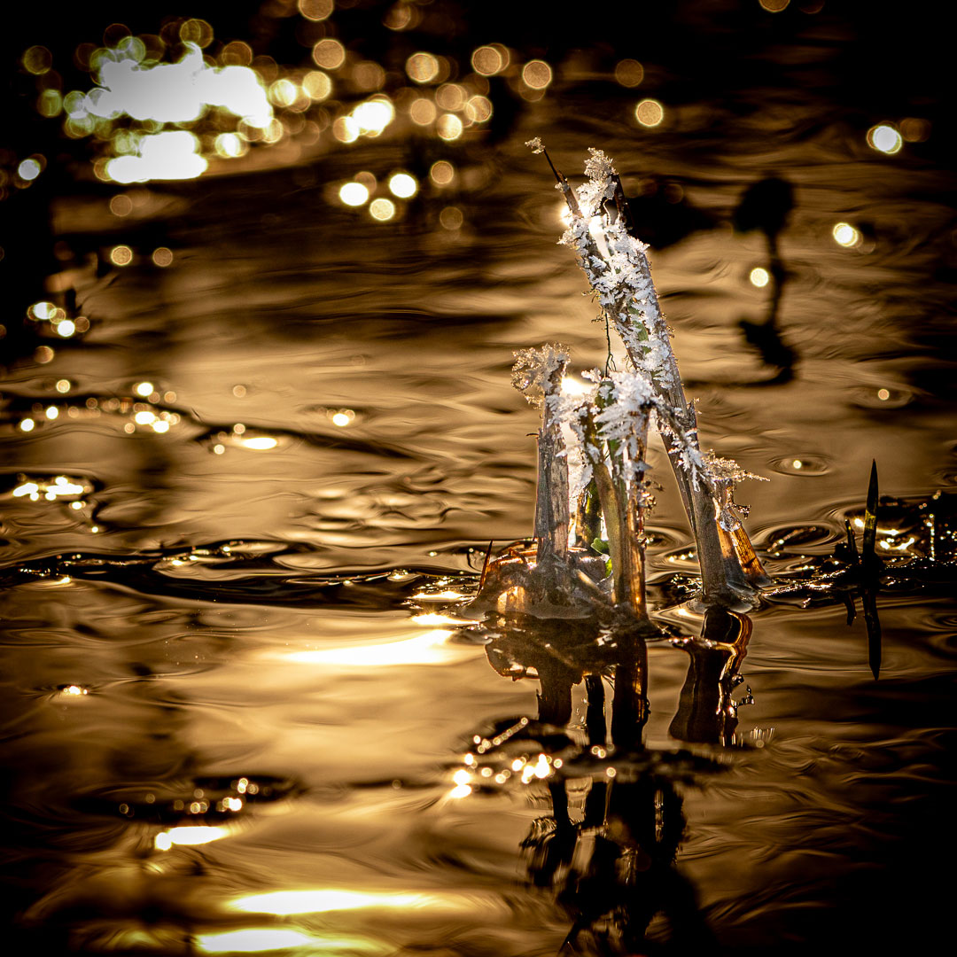 Fotoclub: Bild des Monats 2.2023