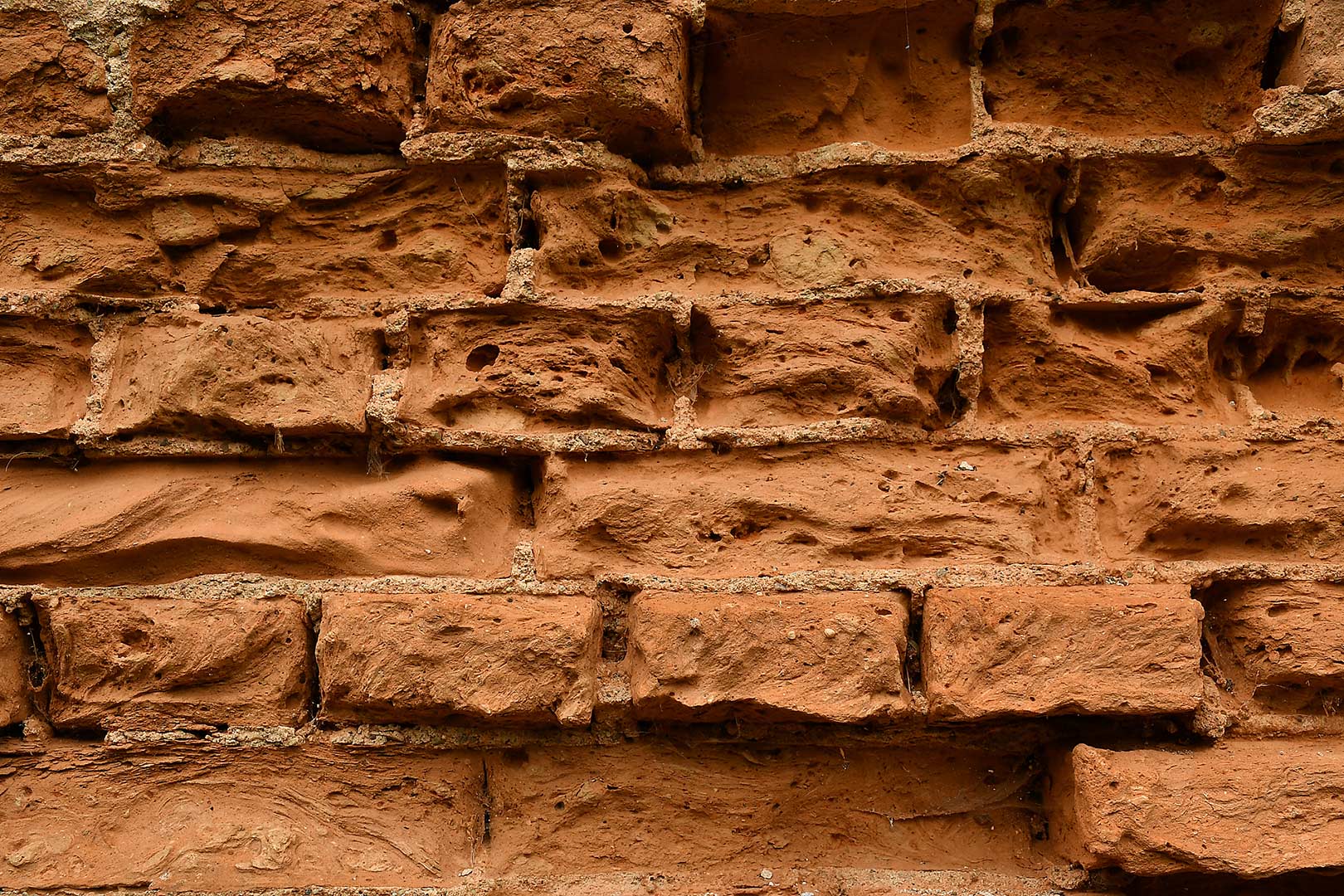 Serie: Verfall 2 (Foto: Günter Giese)