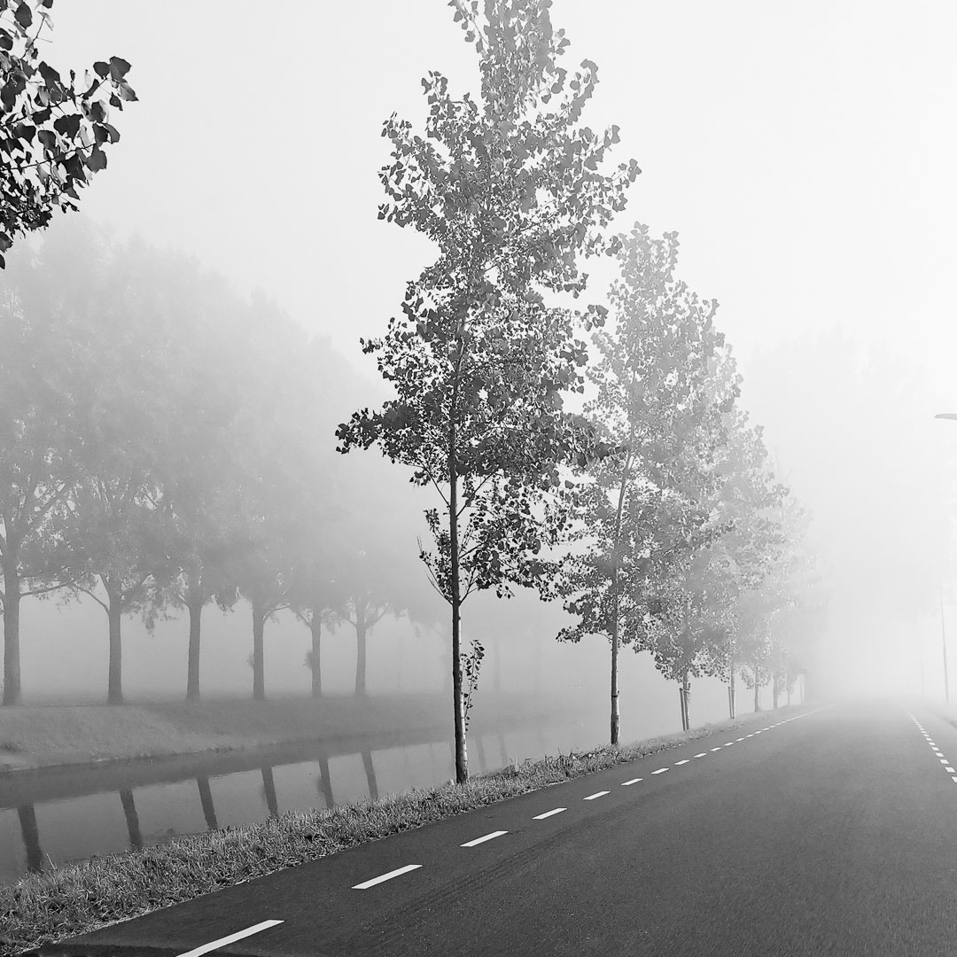 Neblig (Foto: Uli Pfeufer)