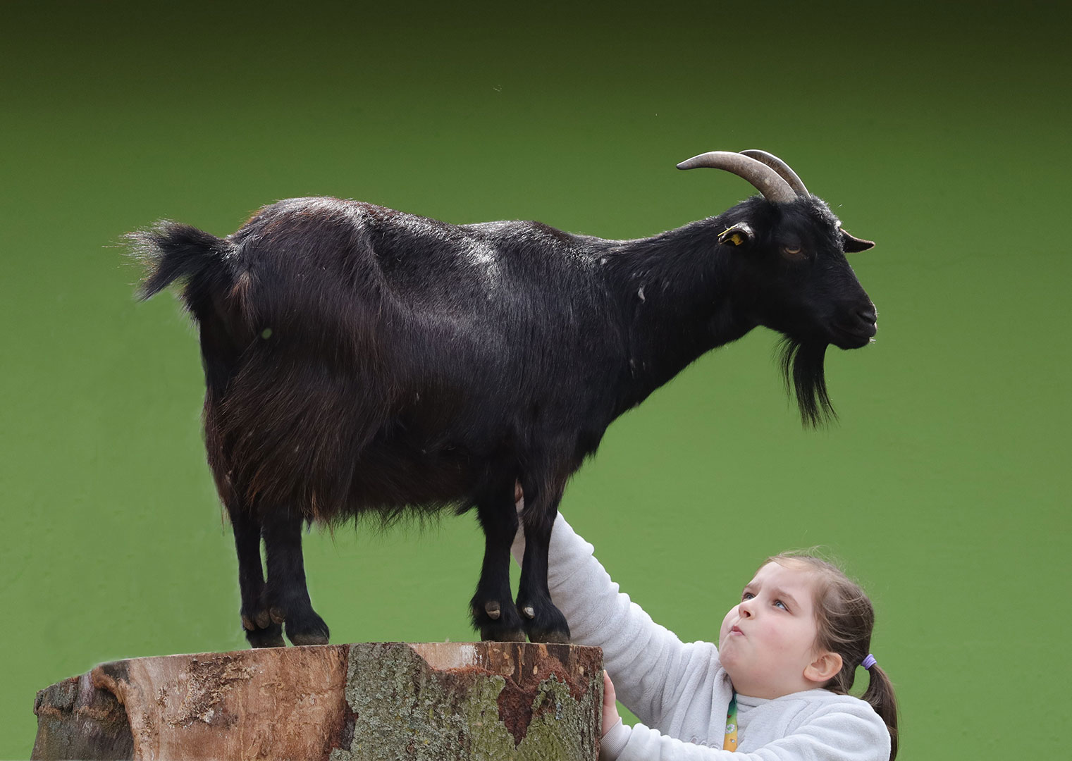 Fotoclub: Bild des Monats 01.2023