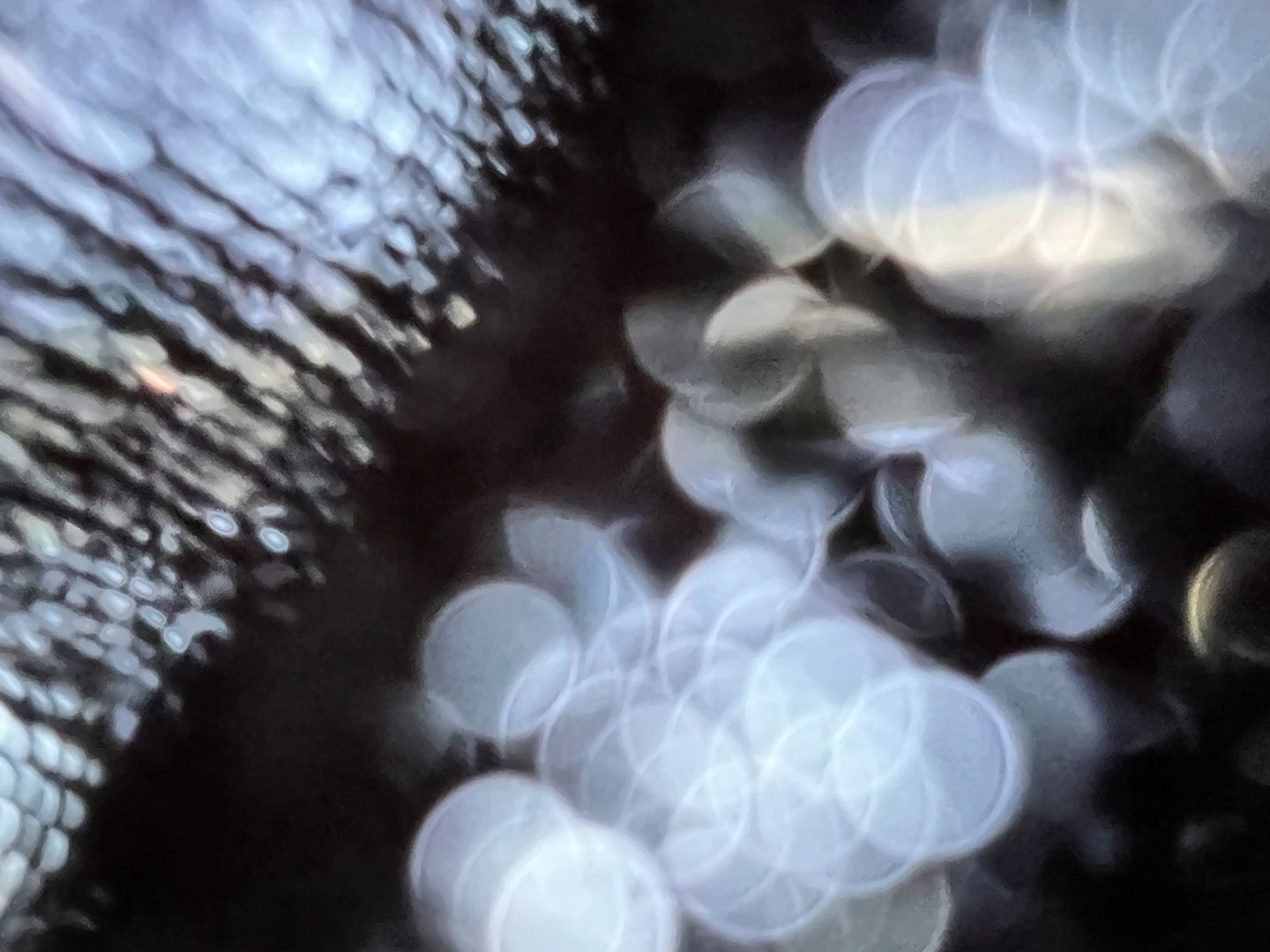 Einsendeschluss 15. Internationale Barnack-Biennale 2023/24