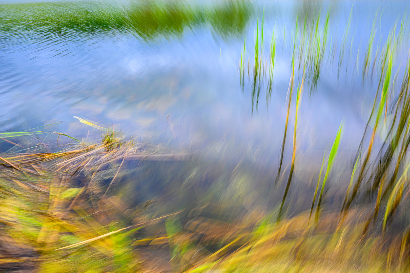 Verdreht (Foto: Michael Ritter)