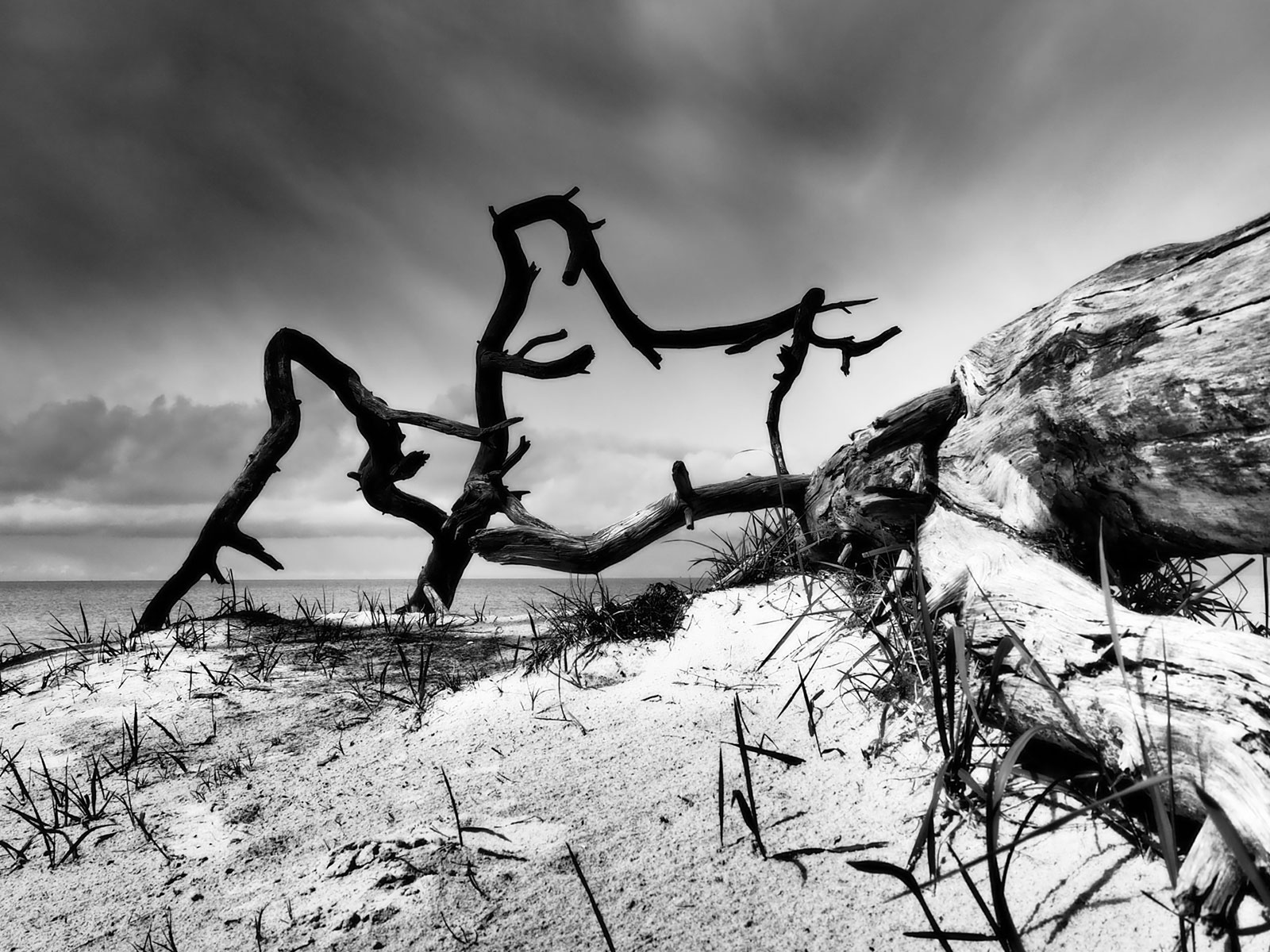 Weststrand (Foto: Dietmar Schmidt)