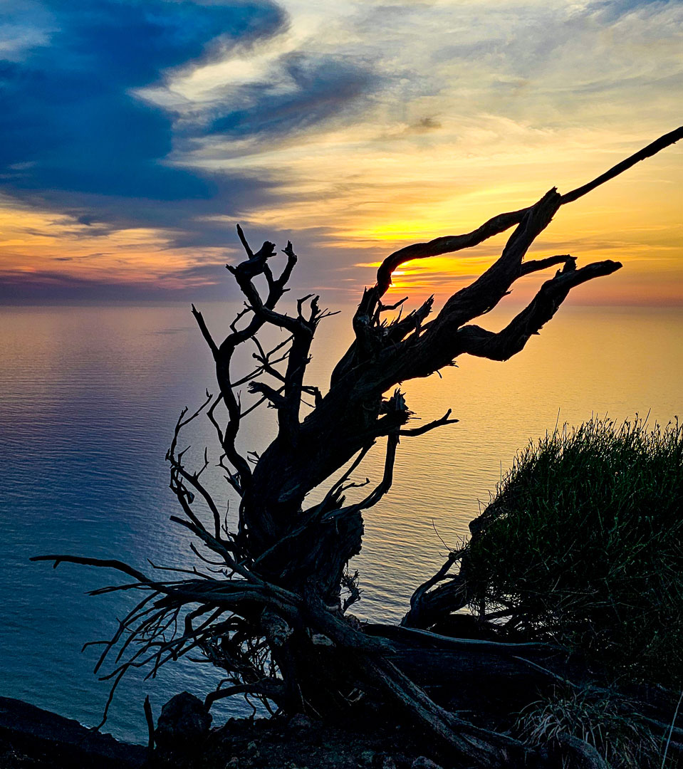 Fotoclub: Bild des Monats 12.2022