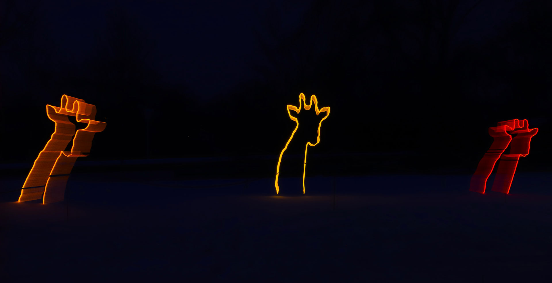 Tierisch bunt (Foto: Kerstin Wolff)