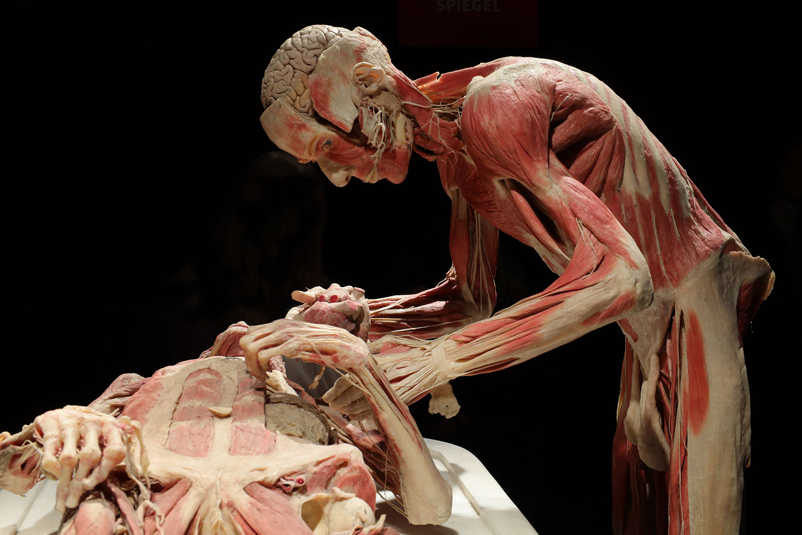 Fotoclub fällt aus!