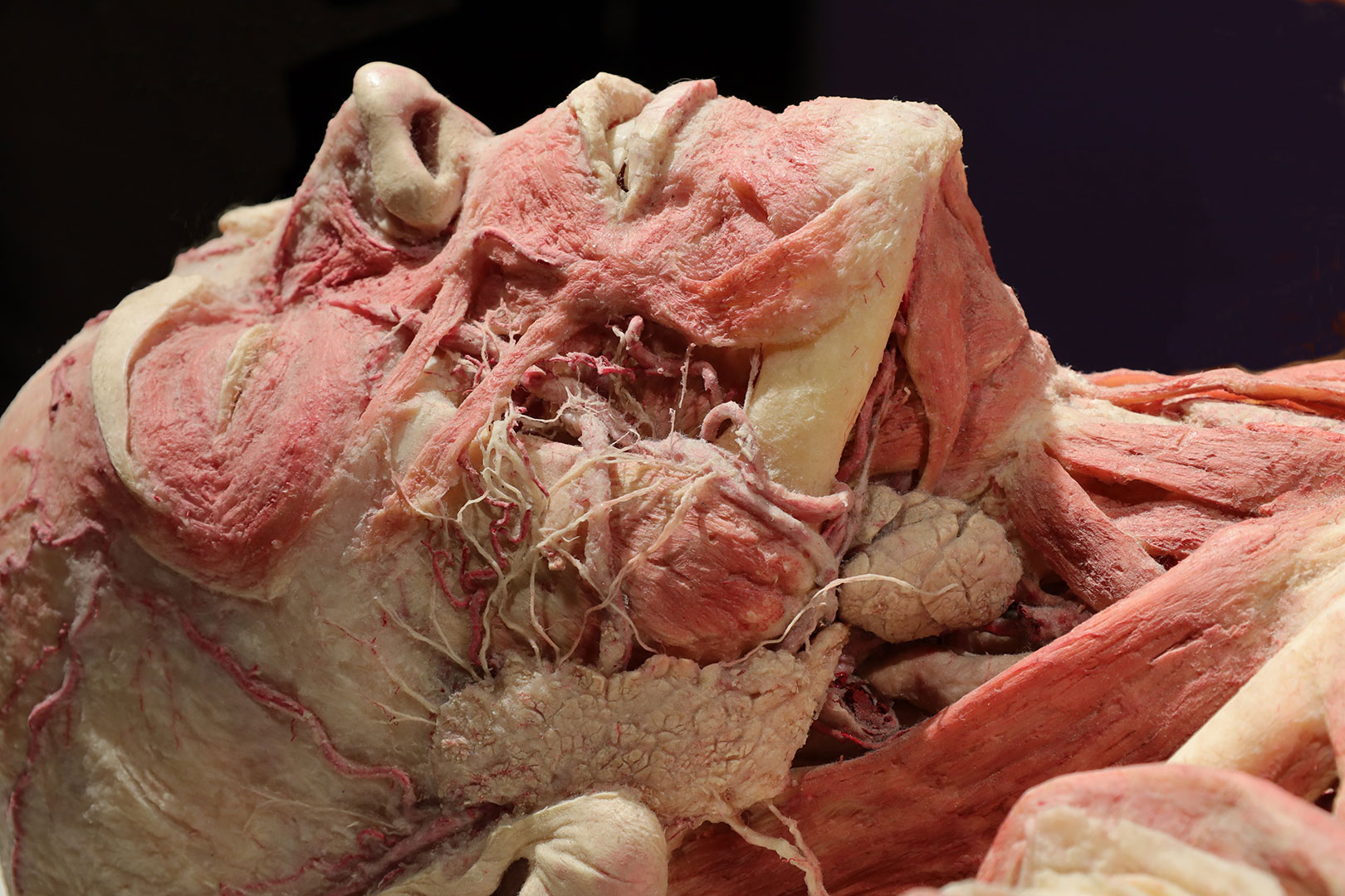 Serie: Herz-OP 3 (Foto: Claus Gebhardt)