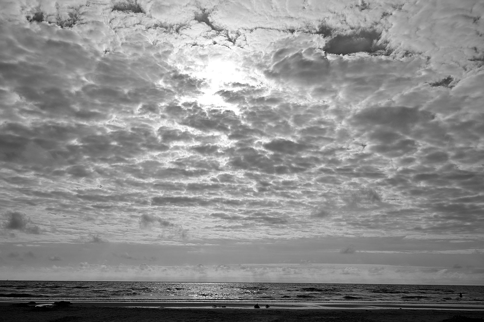 2024-08-17-Gegen-Abend-gg-5.33 Gegen Abend (Foto: Günter Giese)