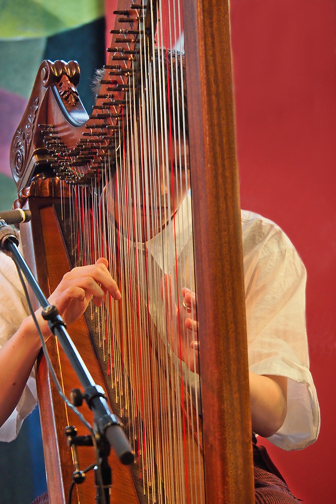 2024-08-38-strings-ak-5 Strings (Foto: Andreas Kuhrt)