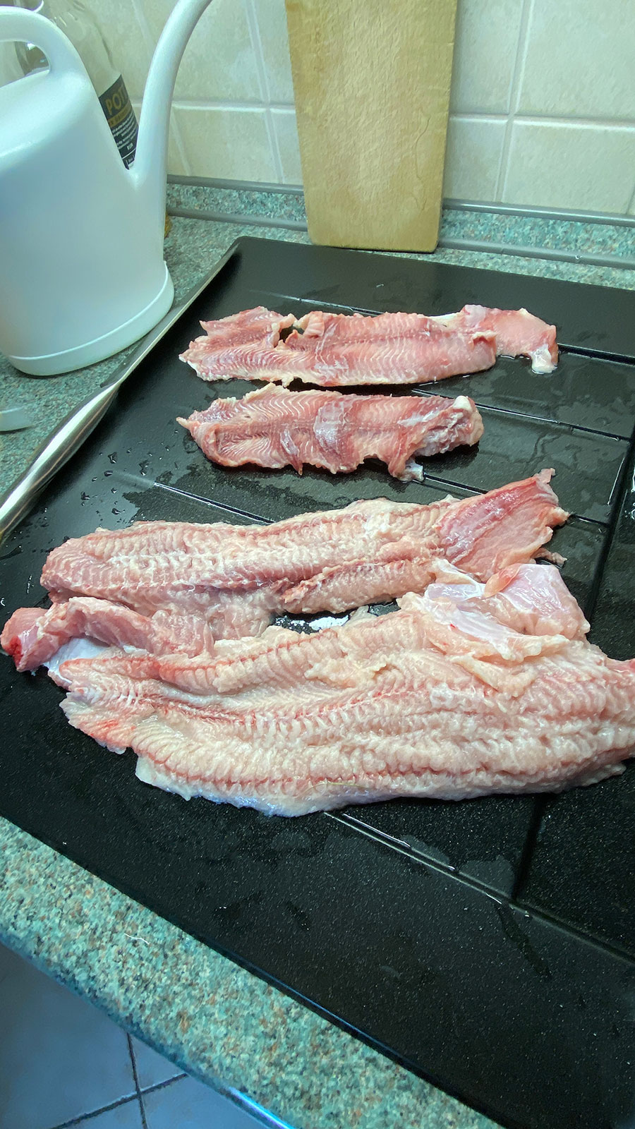 2024-08-zz06-Angeln-mit-Erfolg-5-gg-5.33 Serie: Angeln mit Erfolg 5 (Foto: Günter Giese)