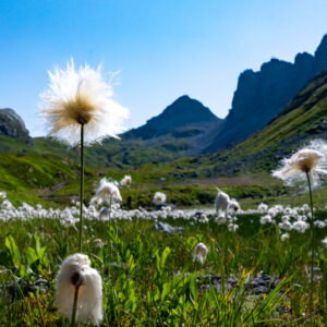 Bild des Monats <b>09.2024</b>