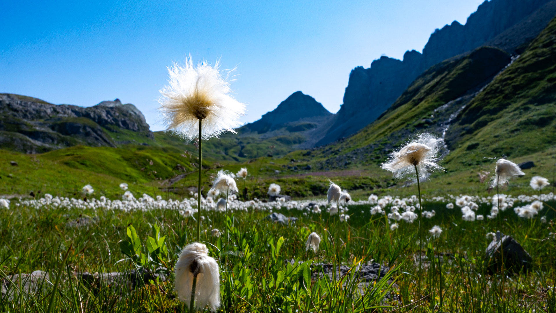 2024-09-12-herausragend-upf-7.33-1 Herausragend (Foto: Uli Pfeufer)