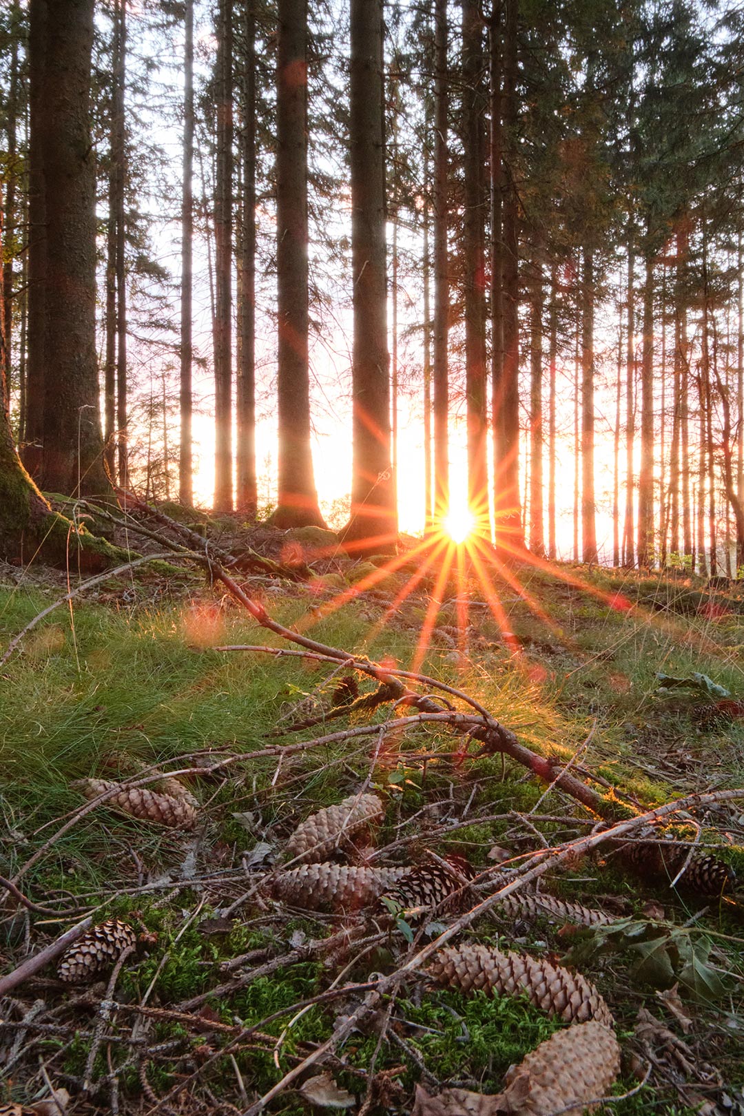 2024-09-13-Herbst-mst-5.33 Herbst (Foto: Michael Stürtz)
