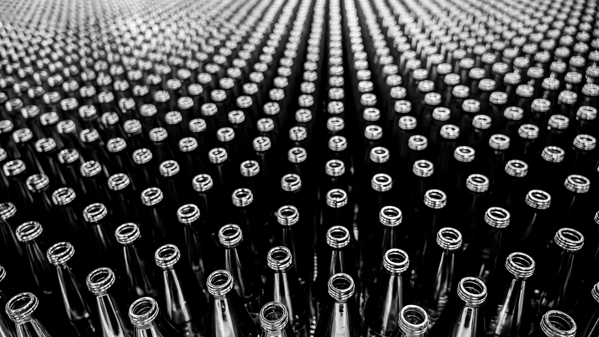 Aufgereiht (Foto: Uli Pfeufer)