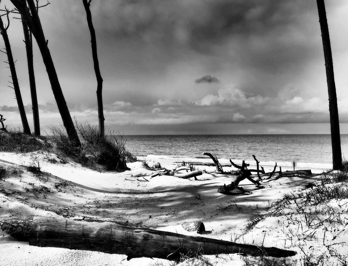Fotoclub