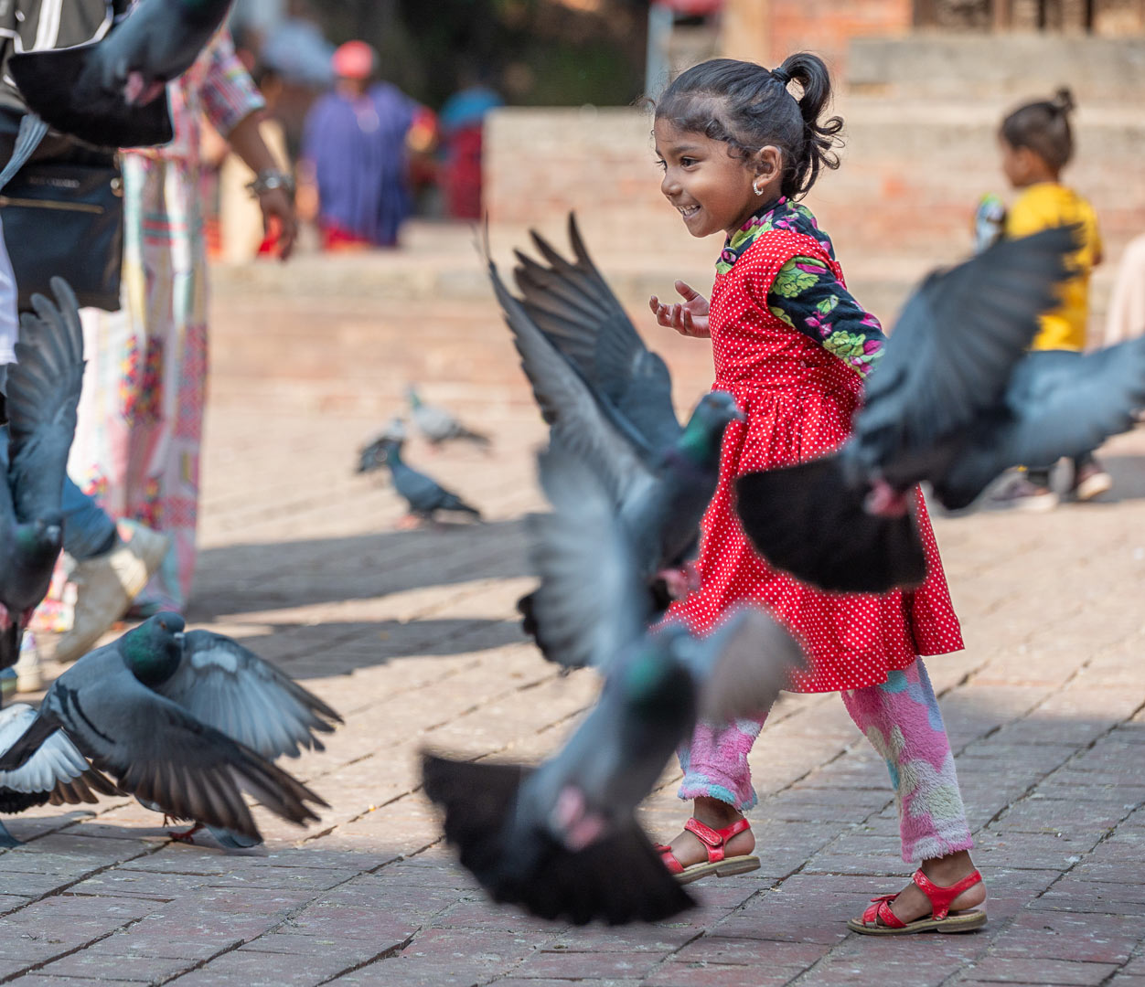 Taubenjagd (Foto: Uli Pfeufer)