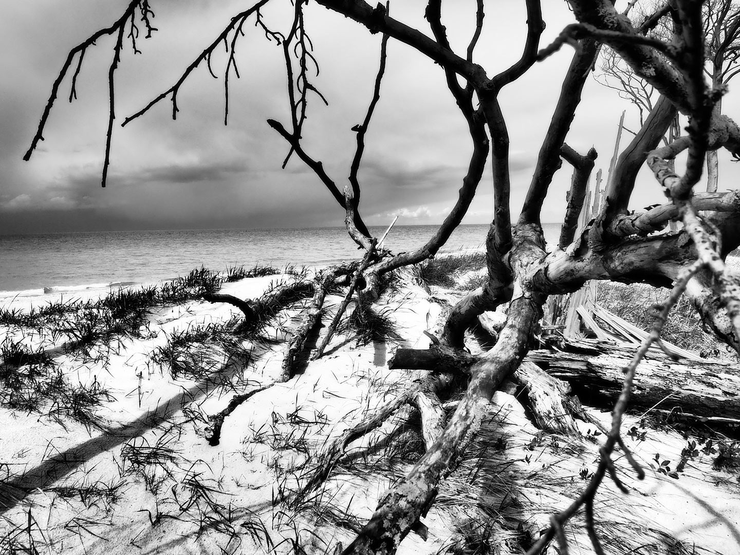 Windbruch (Foto: Dietmar Schmidt)