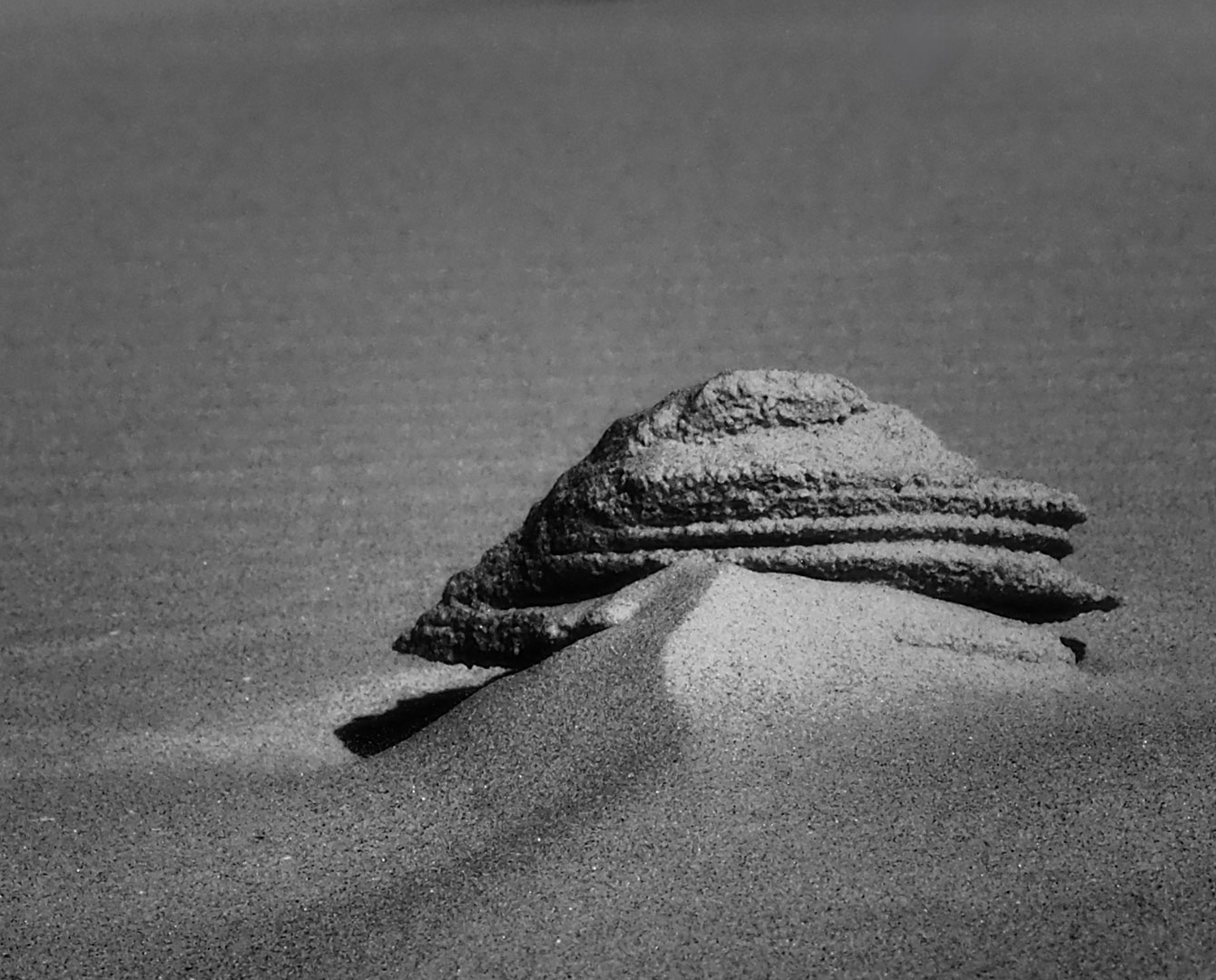 Fotoclub