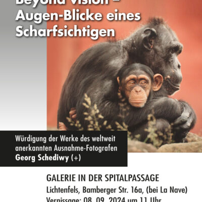 Fotoausstellung Georg Schediwy "Beyond Vision - Augen-Blicke eines Scharfsichtigen" (08.09.-06.10.2024, Galerie in der Spitalpassage Lichtenfels)